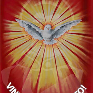 Bandeira Digital Têxtil com Costura em Toda a Volta e Cordão nas Pontas - 100cm x 70cm